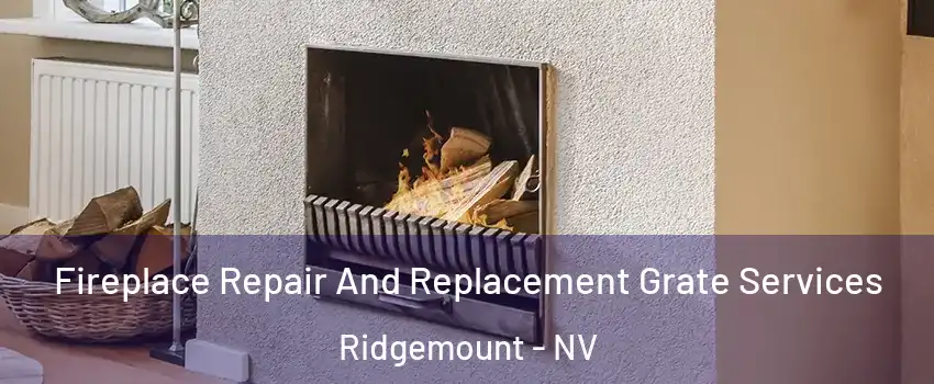 Fireplace Repair And Replacement Grate Services Ridgemount - NV