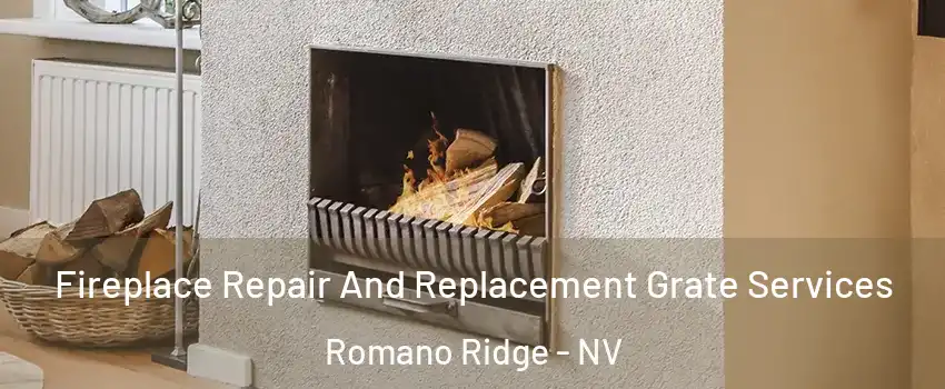 Fireplace Repair And Replacement Grate Services Romano Ridge - NV