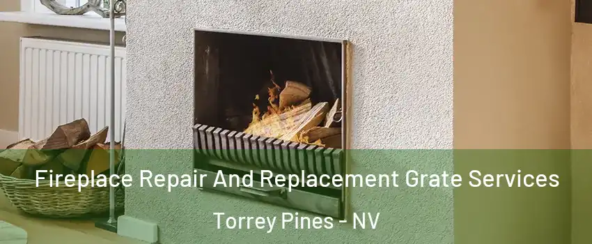 Fireplace Repair And Replacement Grate Services Torrey Pines - NV