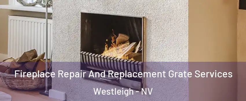 Fireplace Repair And Replacement Grate Services Westleigh - NV