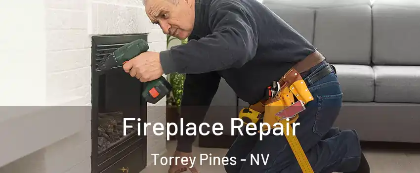 Fireplace Repair Torrey Pines - NV