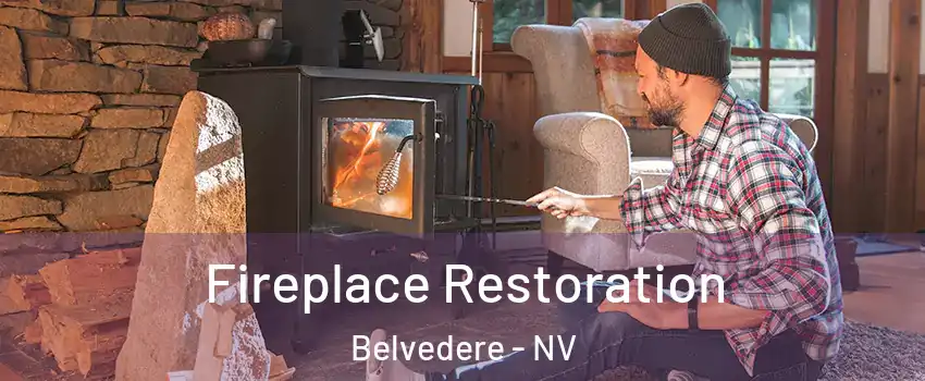 Fireplace Restoration Belvedere - NV
