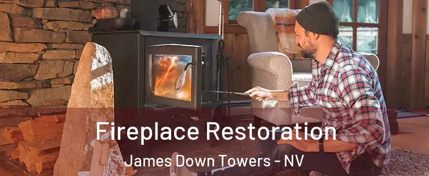 Fireplace Restoration James Down Towers - NV