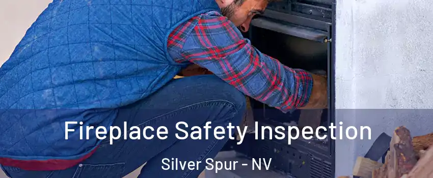 Fireplace Safety Inspection Silver Spur - NV