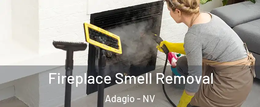 Fireplace Smell Removal Adagio - NV