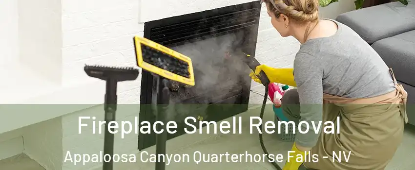 Fireplace Smell Removal Appaloosa Canyon Quarterhorse Falls - NV