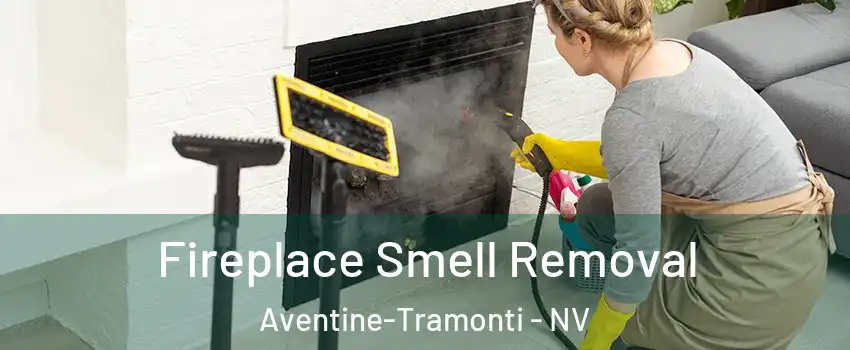 Fireplace Smell Removal Aventine-Tramonti - NV