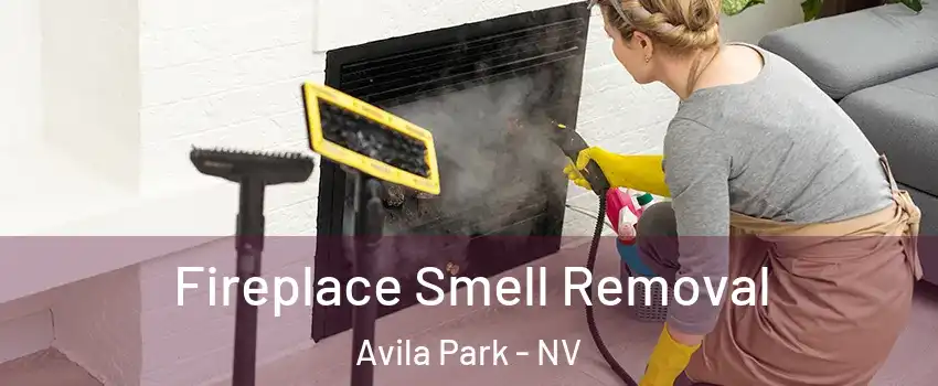 Fireplace Smell Removal Avila Park - NV