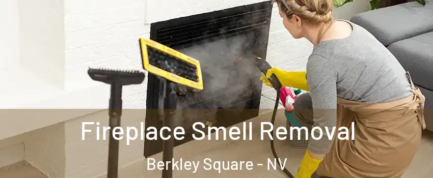 Fireplace Smell Removal Berkley Square - NV