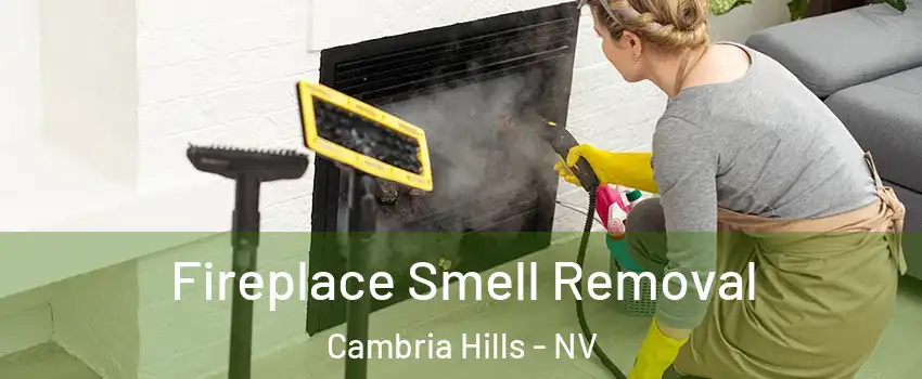 Fireplace Smell Removal Cambria Hills - NV