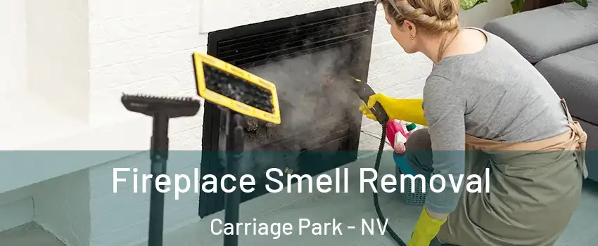 Fireplace Smell Removal Carriage Park - NV