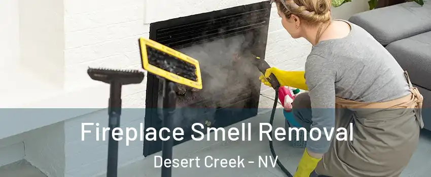 Fireplace Smell Removal Desert Creek - NV