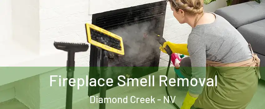 Fireplace Smell Removal Diamond Creek - NV