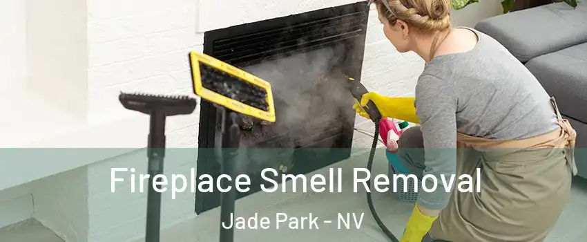 Fireplace Smell Removal Jade Park - NV