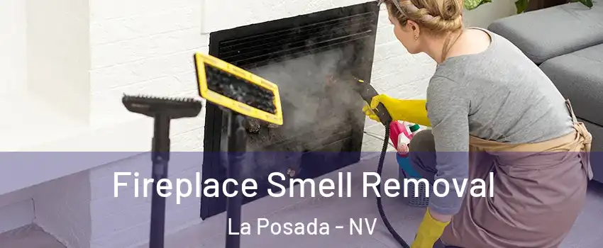Fireplace Smell Removal La Posada - NV