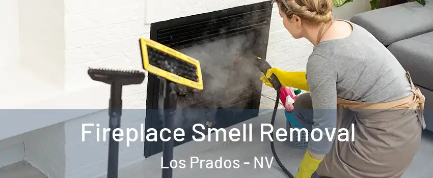 Fireplace Smell Removal Los Prados - NV