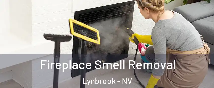 Fireplace Smell Removal Lynbrook - NV