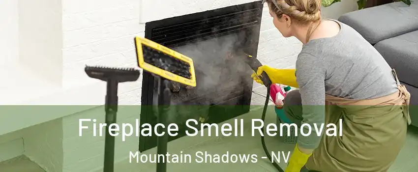 Fireplace Smell Removal Mountain Shadows - NV