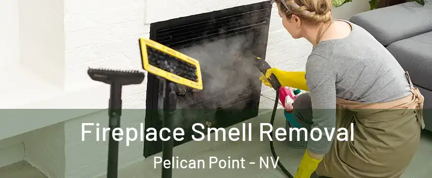Fireplace Smell Removal Pelican Point - NV
