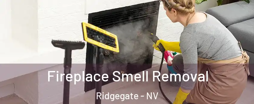 Fireplace Smell Removal Ridgegate - NV