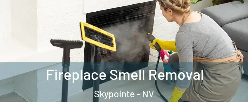 Fireplace Smell Removal Skypointe - NV