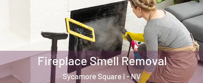 Fireplace Smell Removal Sycamore Square I - NV