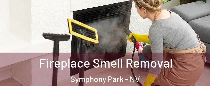 Fireplace Smell Removal Symphony Park - NV