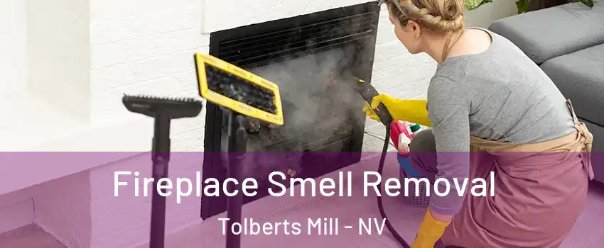 Fireplace Smell Removal Tolberts Mill - NV