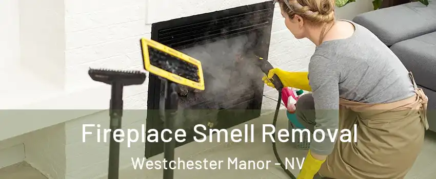 Fireplace Smell Removal Westchester Manor - NV