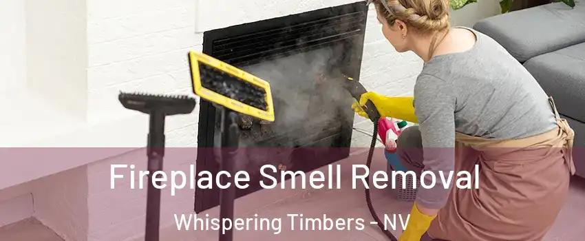 Fireplace Smell Removal Whispering Timbers - NV