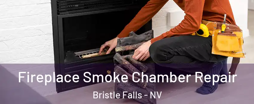 Fireplace Smoke Chamber Repair Bristle Falls - NV