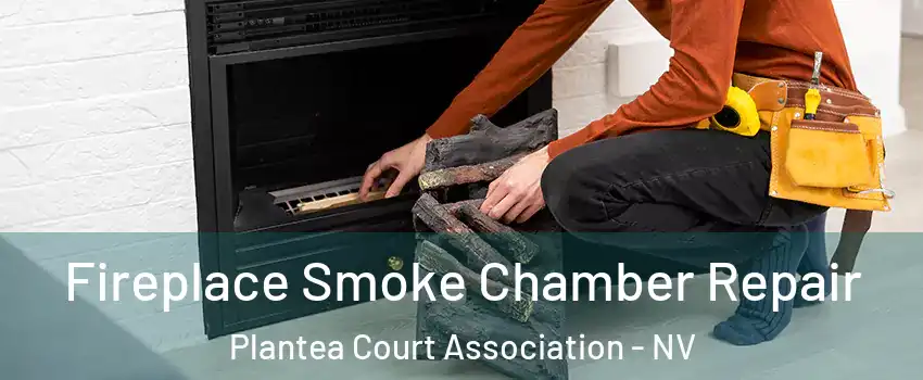 Fireplace Smoke Chamber Repair Plantea Court Association - NV