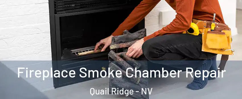 Fireplace Smoke Chamber Repair Quail Ridge - NV
