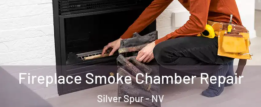 Fireplace Smoke Chamber Repair Silver Spur - NV