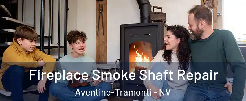 Fireplace Smoke Shaft Repair Aventine-Tramonti - NV