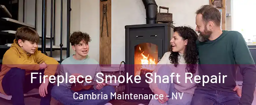 Fireplace Smoke Shaft Repair Cambria Maintenance - NV