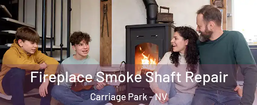 Fireplace Smoke Shaft Repair Carriage Park - NV