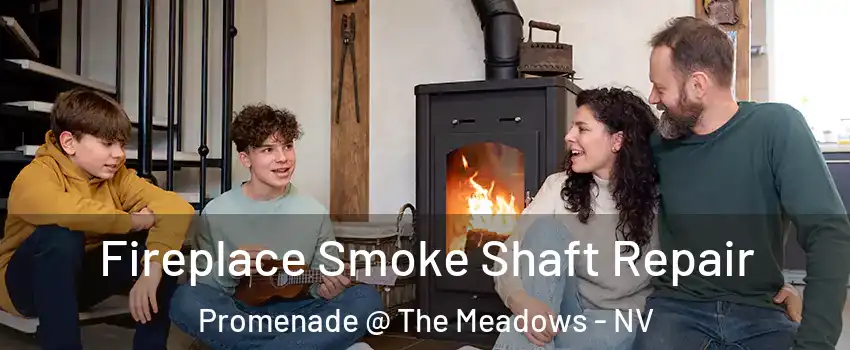 Fireplace Smoke Shaft Repair Promenade @ The Meadows - NV