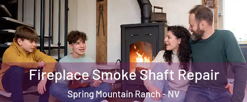 Fireplace Smoke Shaft Repair Spring Mountain Ranch - NV