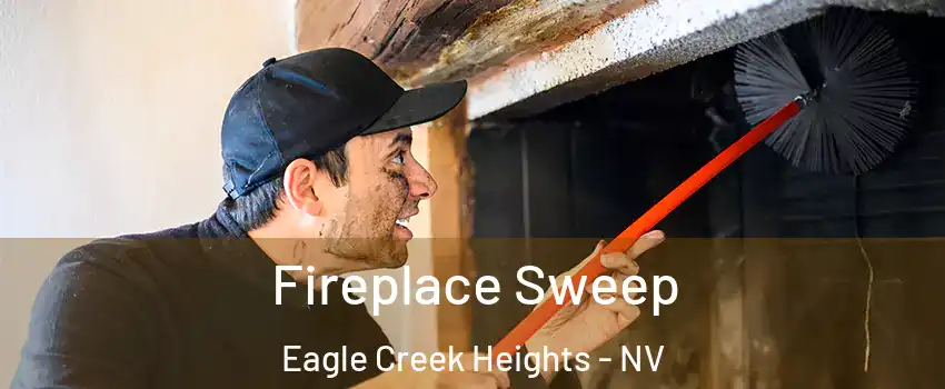 Fireplace Sweep Eagle Creek Heights - NV
