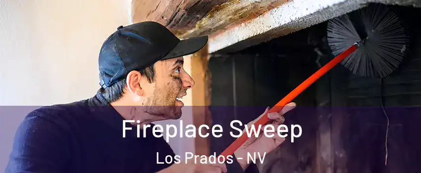 Fireplace Sweep Los Prados - NV