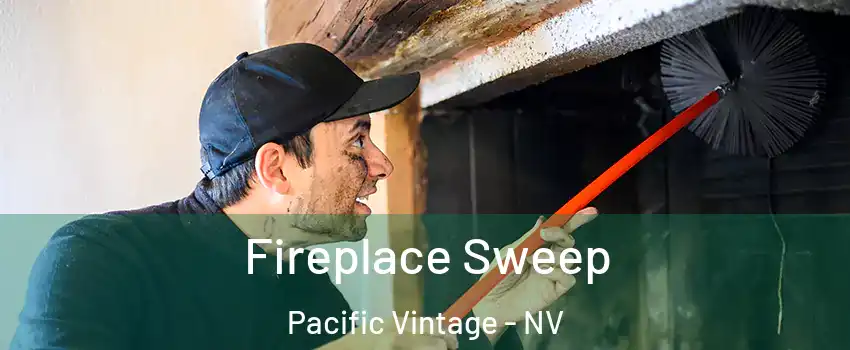 Fireplace Sweep Pacific Vintage - NV