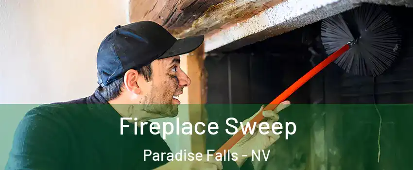 Fireplace Sweep Paradise Falls - NV