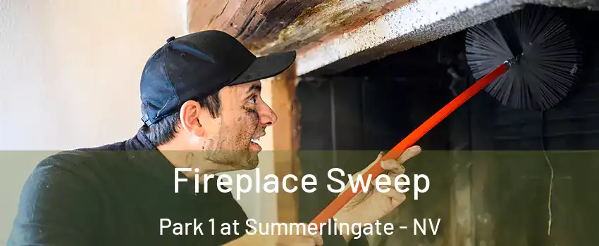 Fireplace Sweep Park 1 at Summerlingate - NV