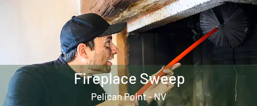 Fireplace Sweep Pelican Point - NV
