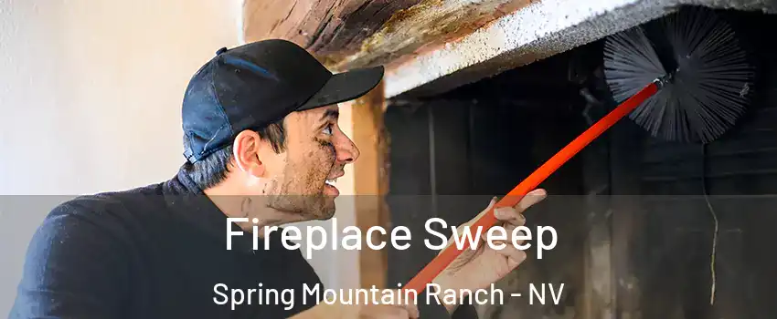 Fireplace Sweep Spring Mountain Ranch - NV