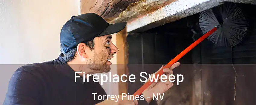 Fireplace Sweep Torrey Pines - NV