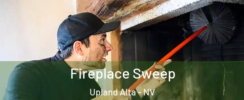 Fireplace Sweep Upland Alta - NV