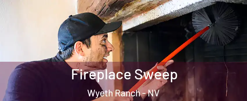 Fireplace Sweep Wyeth Ranch - NV