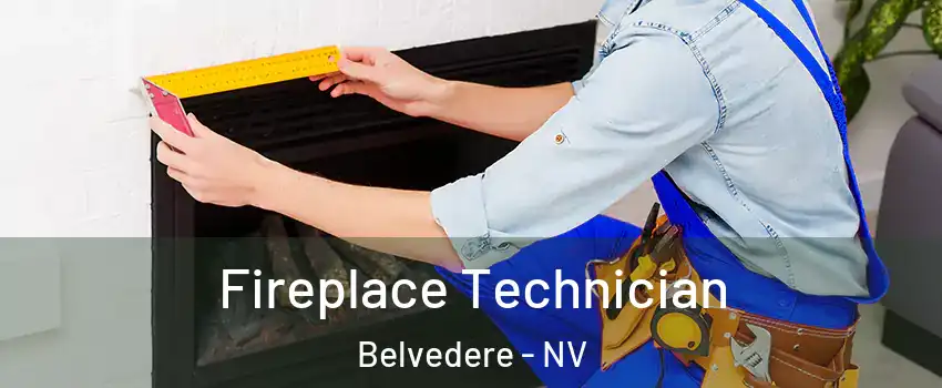 Fireplace Technician Belvedere - NV
